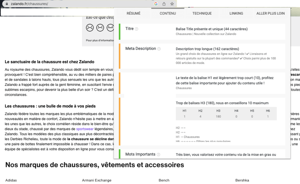 smart seo extension seo analyse métas et linking